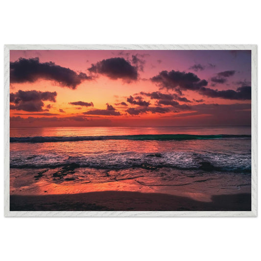 00978383-1472-4b88-9f55-247e30484b8c