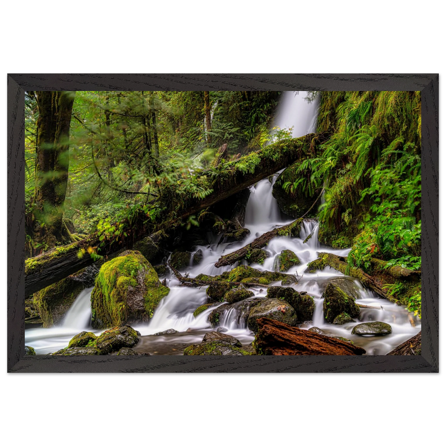 02a82233-daef-4f5f-a348-398f2cf43d10