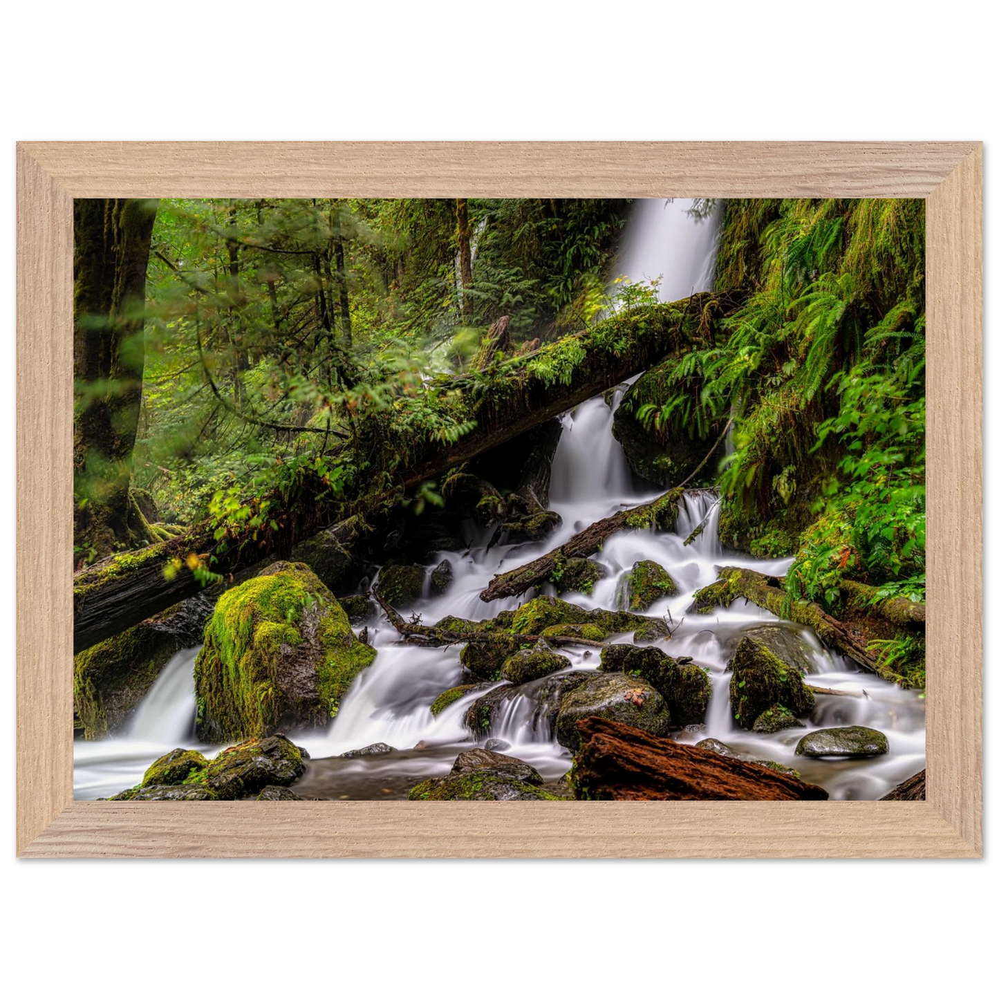 2d4c411d-59e4-474d-bd3d-14ce5a1030a9