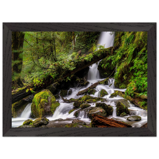 393e7eb5-95ac-4ded-85e3-c7f0d0996b03