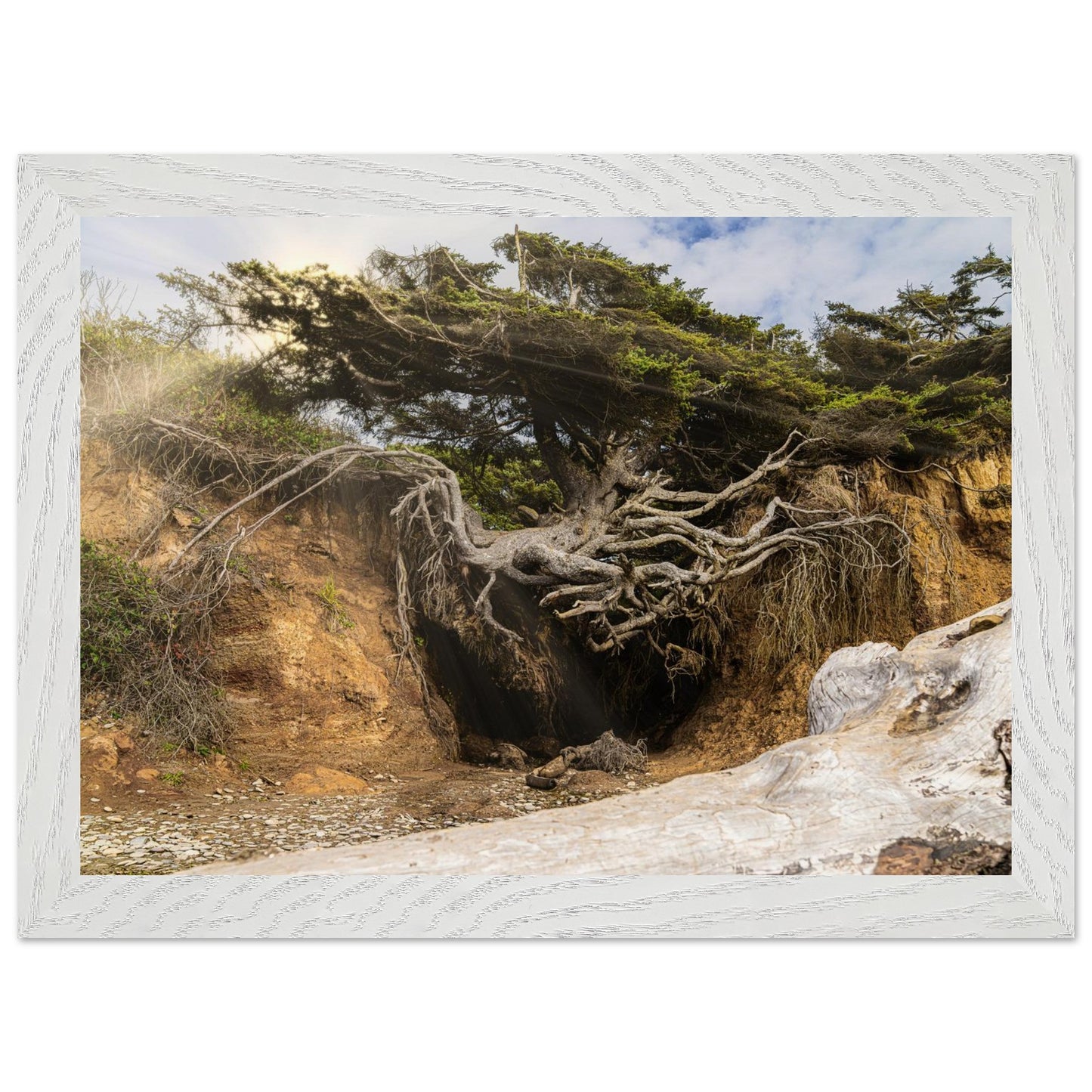 7c13352d-aaf8-40f0-9f18-57a8d208b478