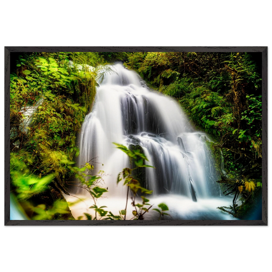 8f567874-30fd-47d3-84fc-181049a6931e