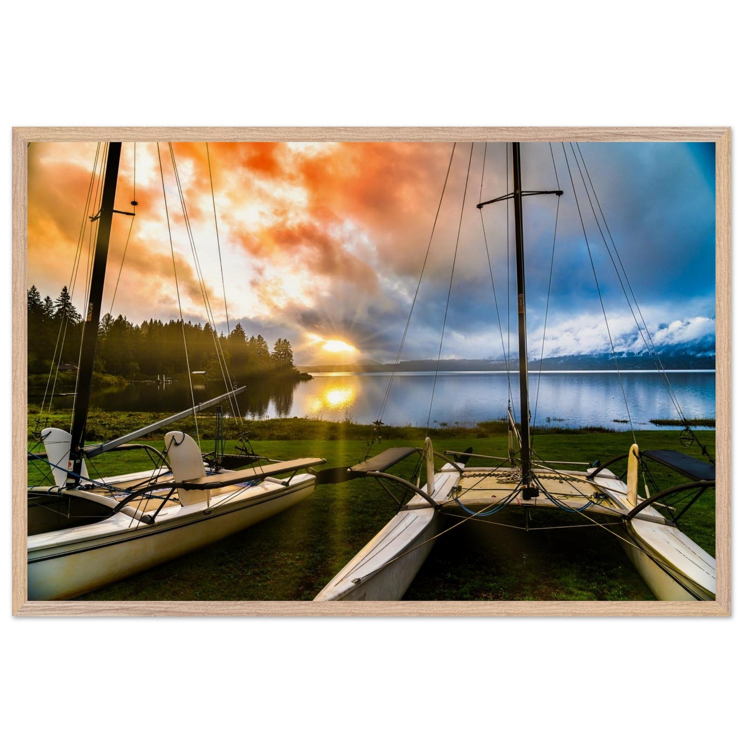 915d1894-7373-4aa7-8f28-b3885b29666c