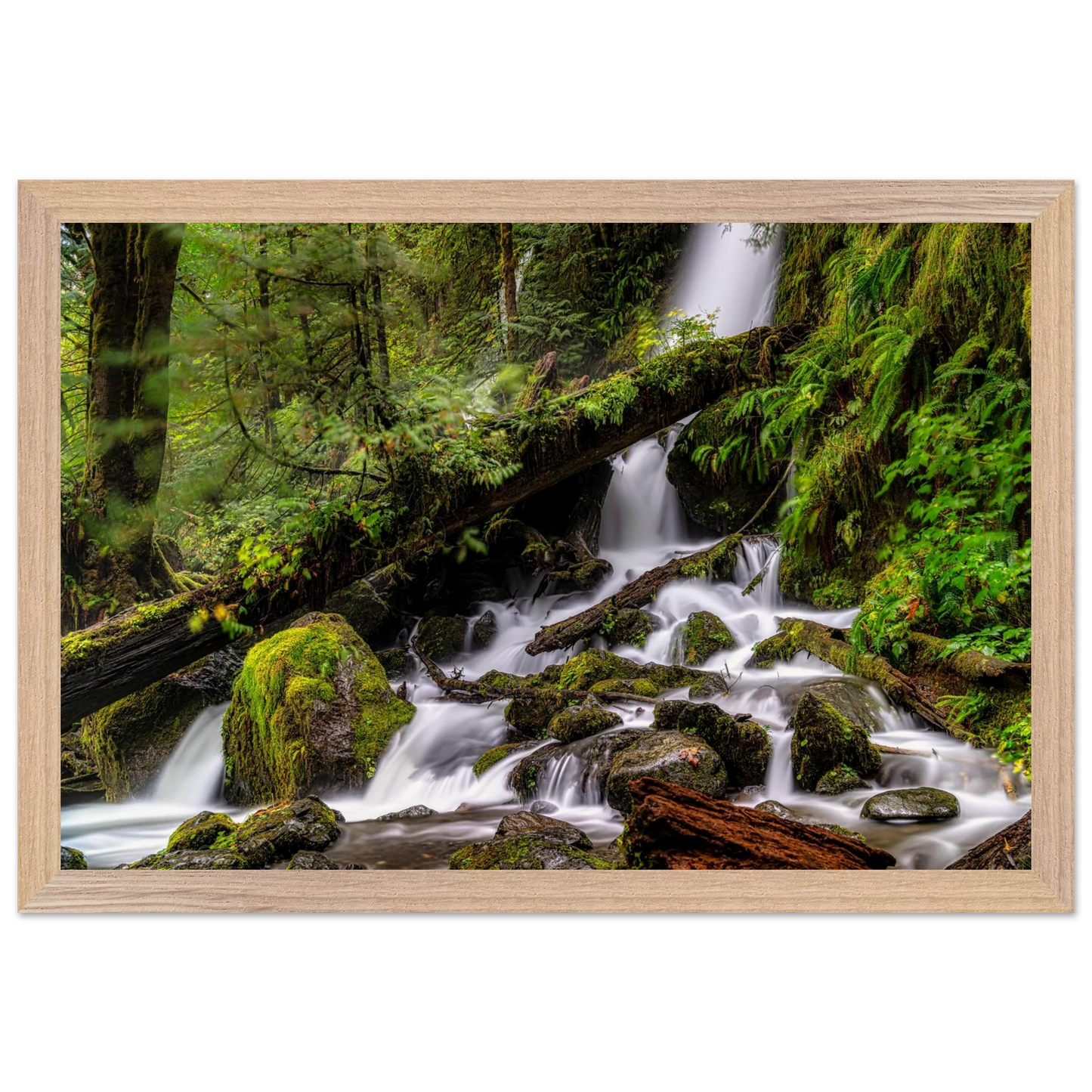 99c9c07b-eee9-4186-917d-279772c35a08