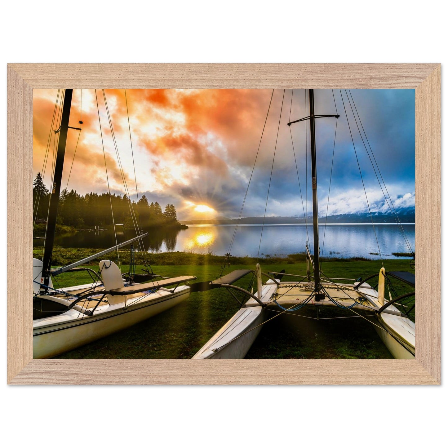 9c9f9215-7b63-402c-bf20-6aae2efcf36f