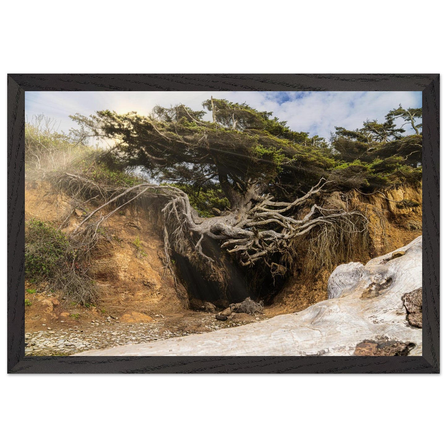 a2f05ab5-8bc8-4a6a-9060-50865ae567e1