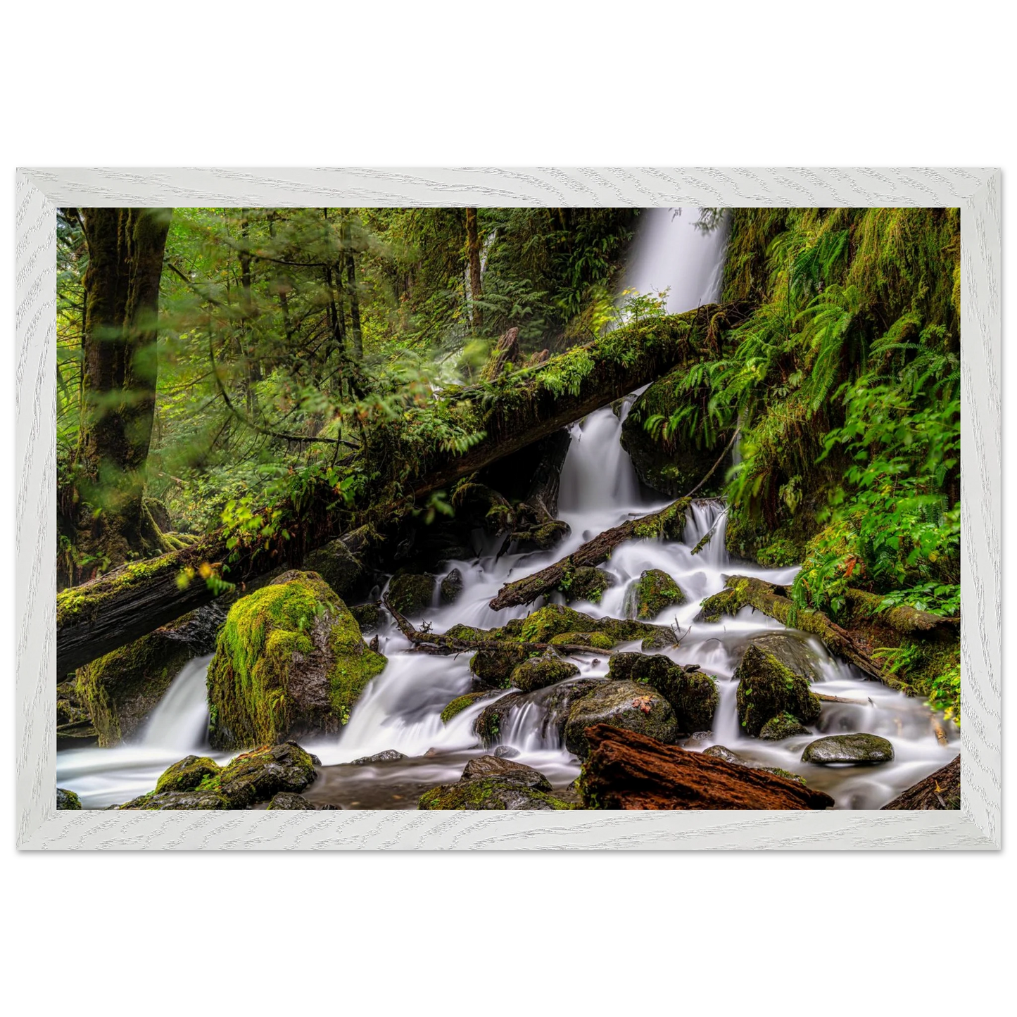 d48c2de9-d169-4431-a3aa-5752fba3b04b