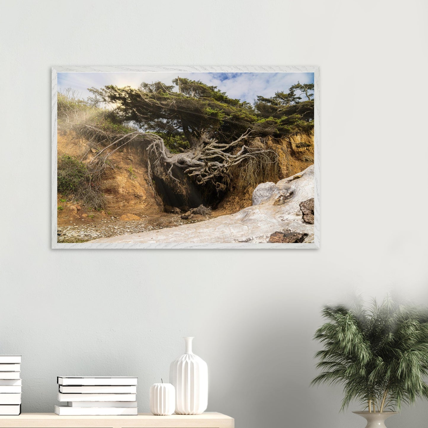 e1166d23-f7ed-449c-b48f-1b00fcc1d096