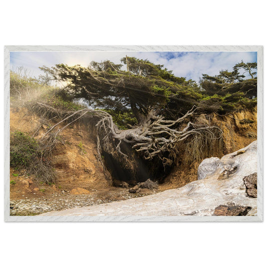 eb4e5a60-e3f1-4de8-ace3-23a0d7924455