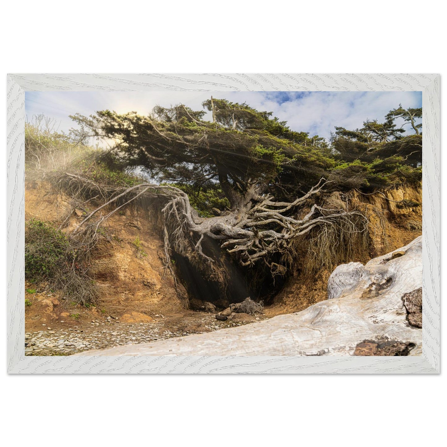 edea3c07-50cf-4eca-a5b0-2a9ffbc0055a