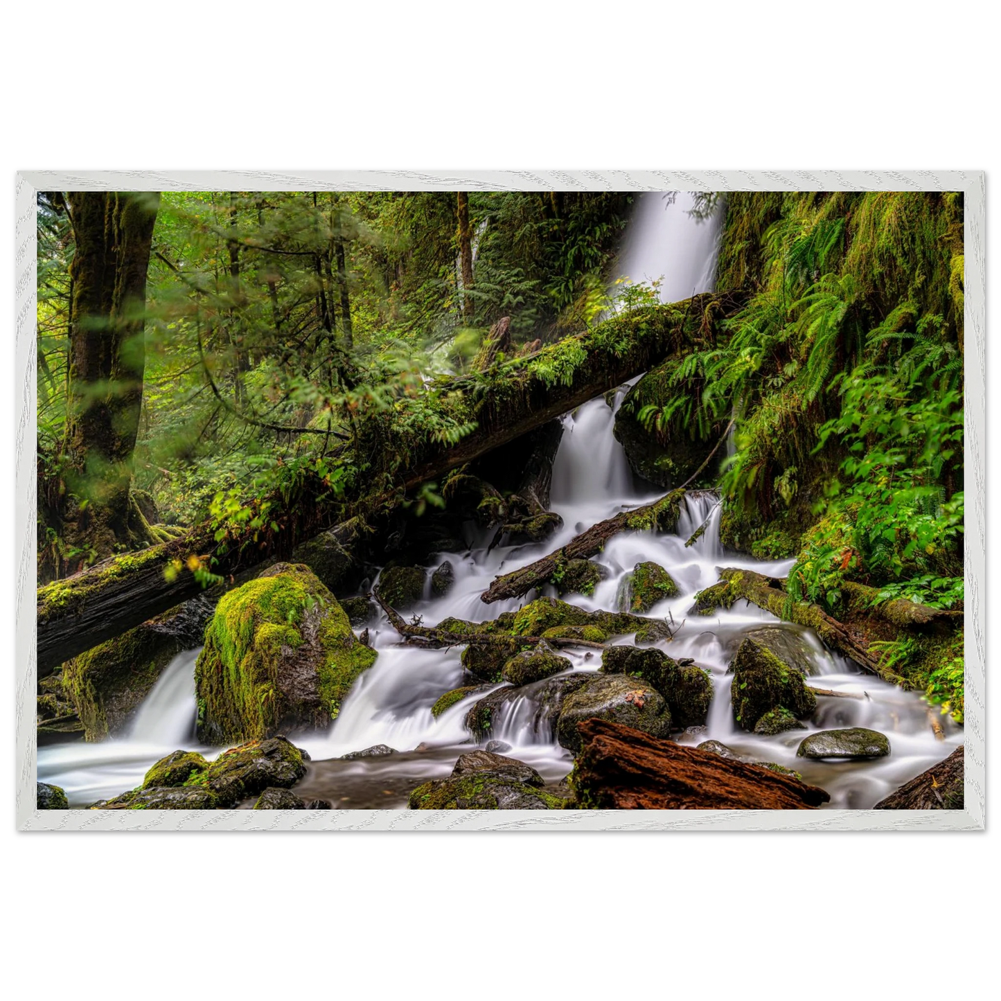 f6db4441-52a5-4f18-a826-90fb2d66bdd9