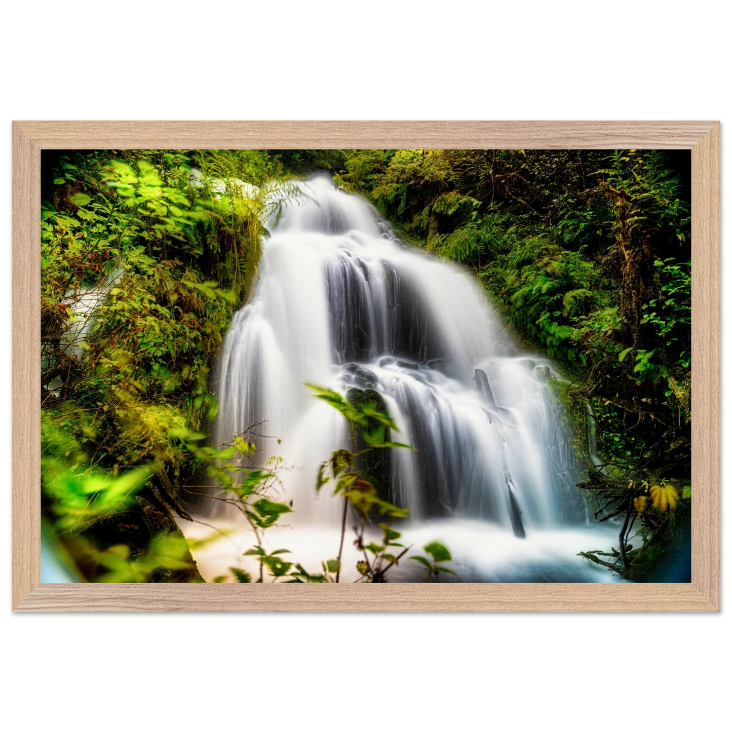 06a5b5de-ba2e-4d86-bbee-7dcb81b8c065