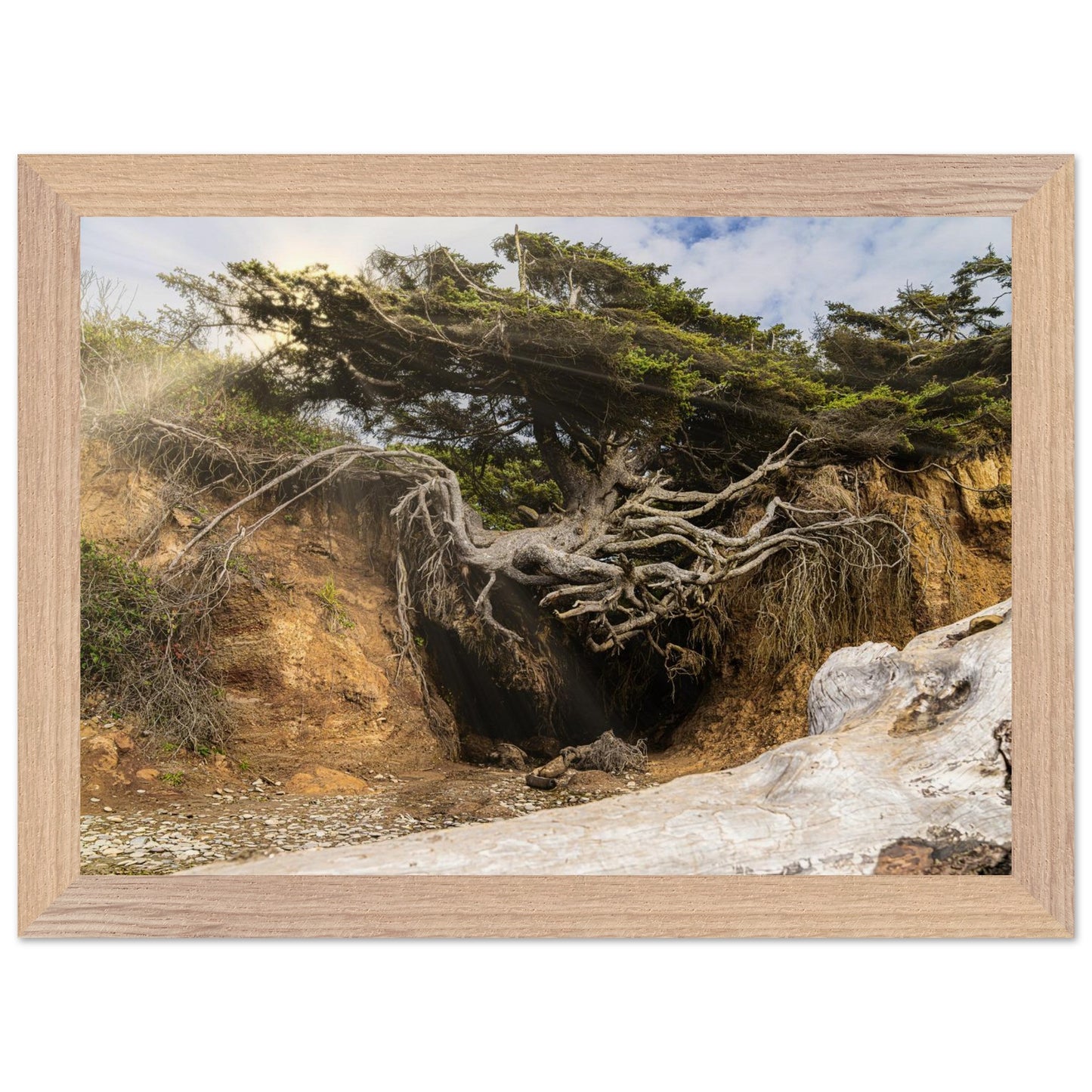 10f8645d-6cfd-47b7-85b5-eb12b183d5d0