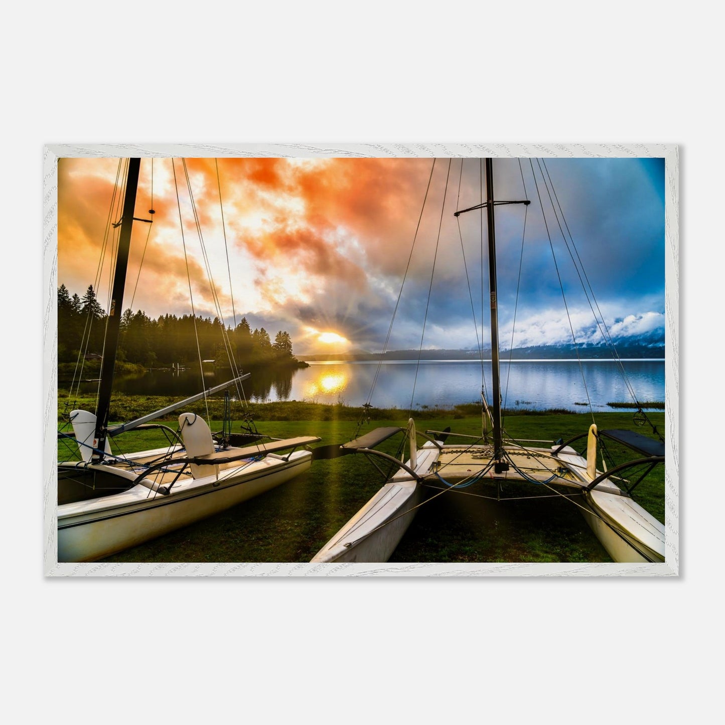 1247508b-31a3-453d-9a54-a758b4f83209