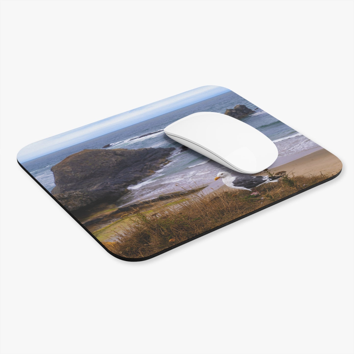 Seagull's Watch     Oregon USA