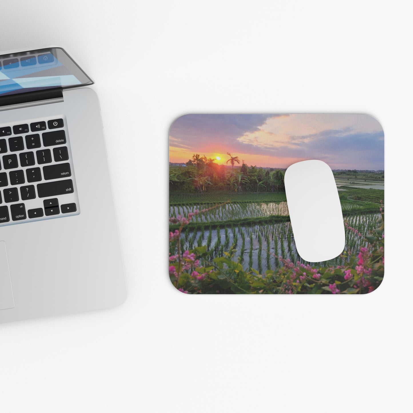 Sunset Terraces     Bali, Indonesia