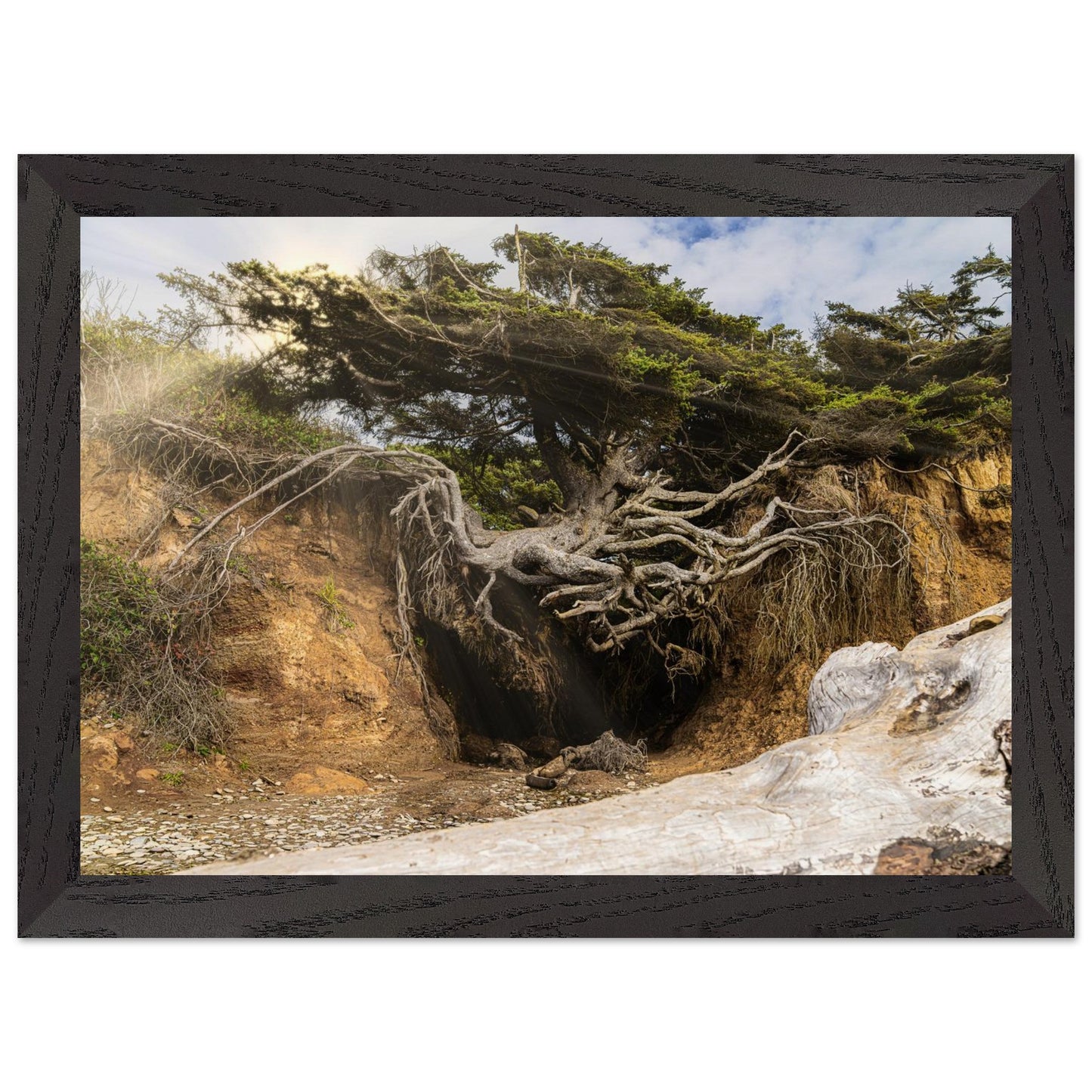 1cb7e584-aab9-4bbe-ad7c-00a31cb5ea85