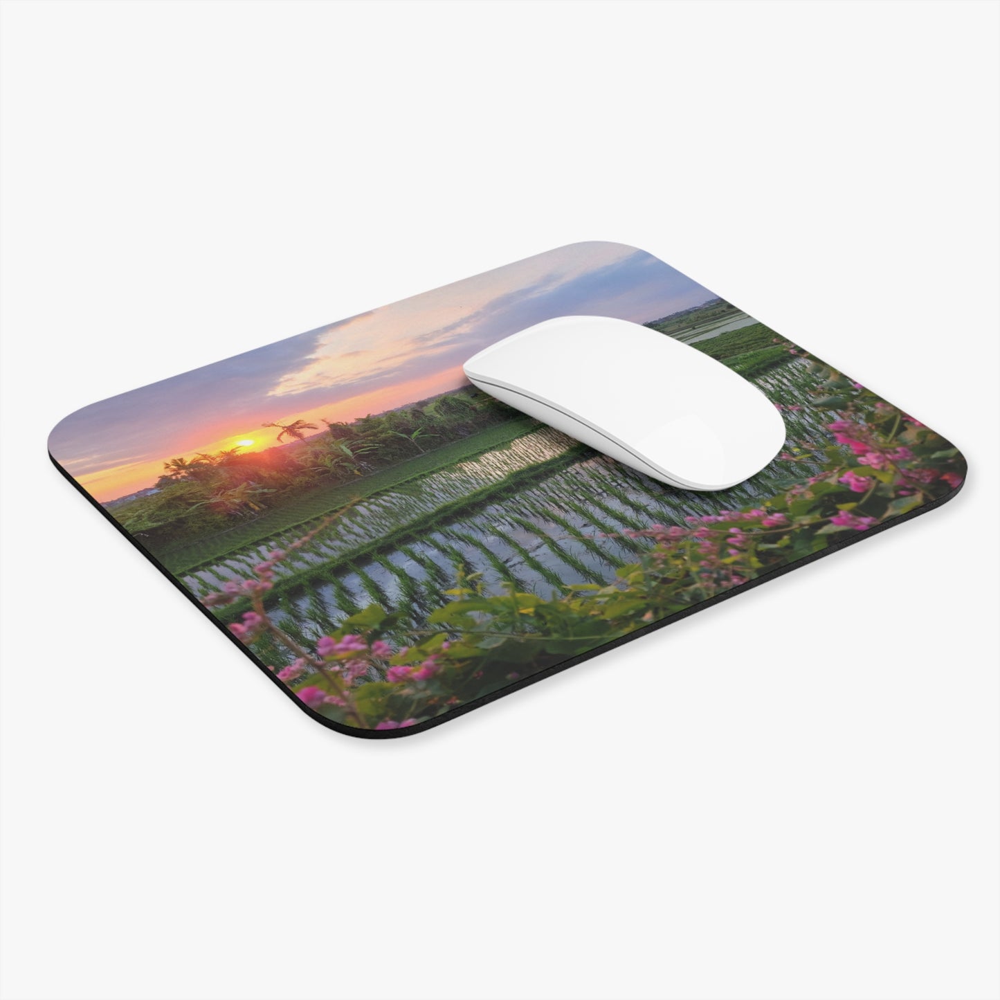 Sunset Terraces     Bali, Indonesia