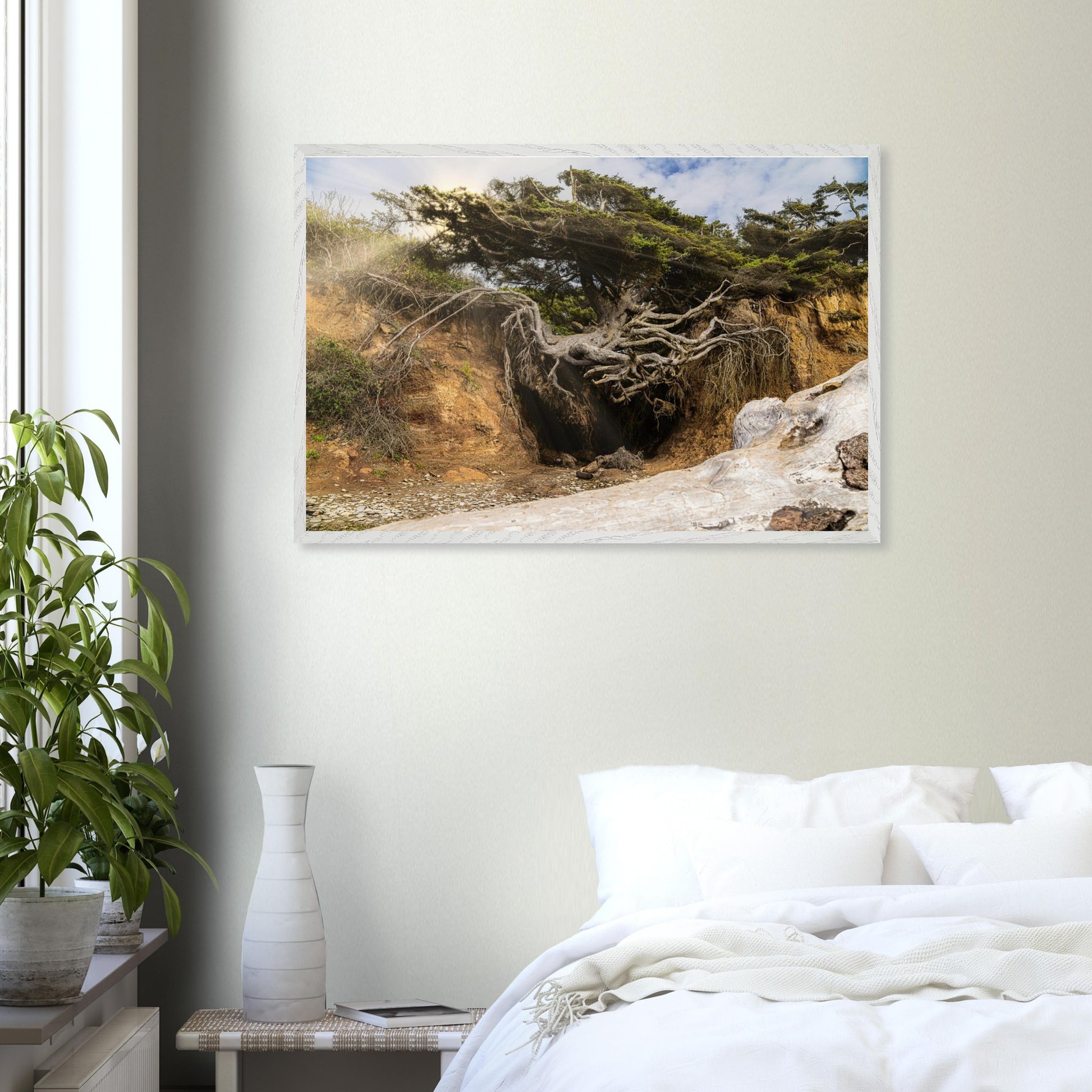 24a5d6a6-9c13-44cf-a0d4-7b9860520eea