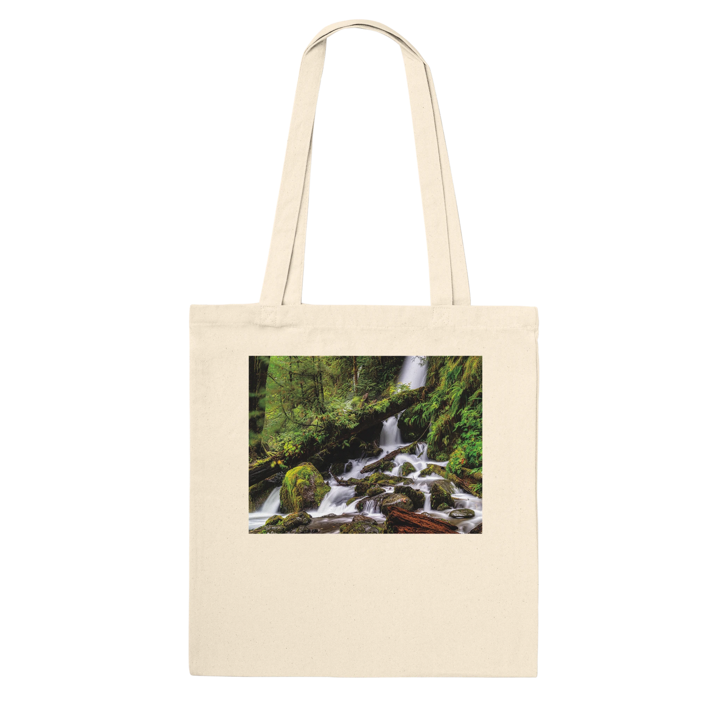 2e36c3fb-8fae-468f-9bac-100284e2b6a2