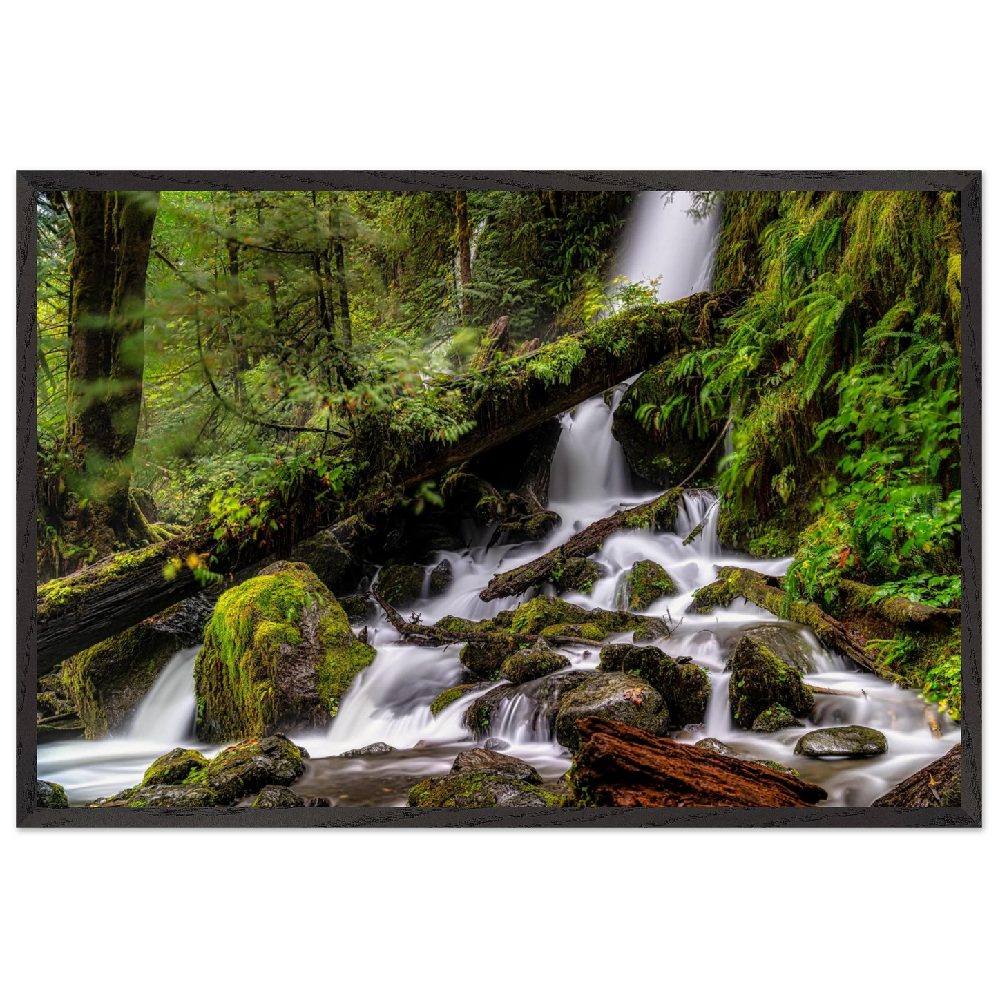 2fcf43e9-6884-4902-a105-fec208525b04