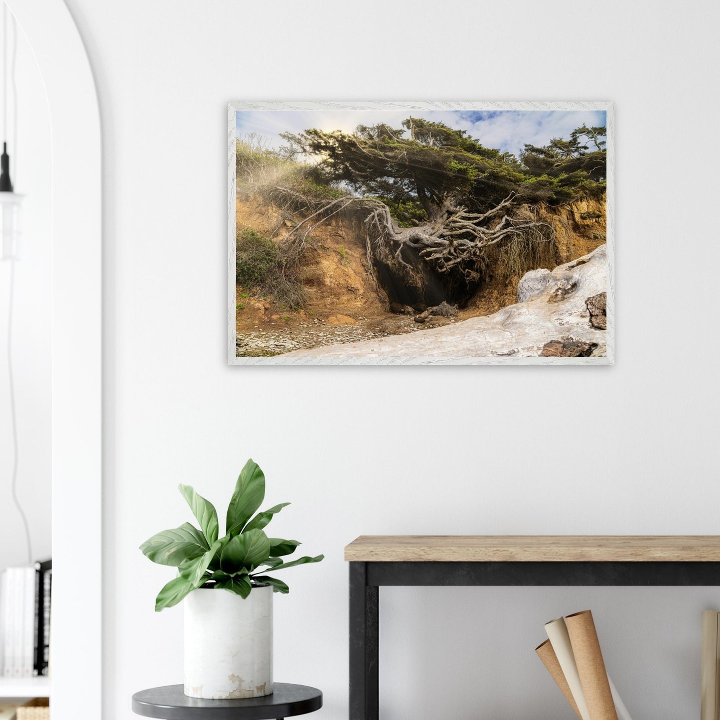 377c9b19-5a6d-44fc-b2f4-35ae7e4c3355