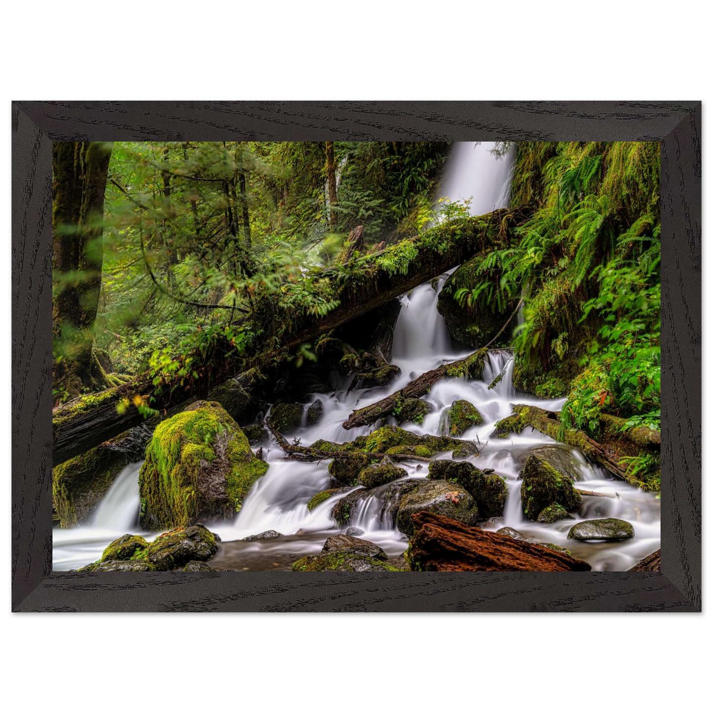 393e7eb5-95ac-4ded-85e3-c7f0d0996b03