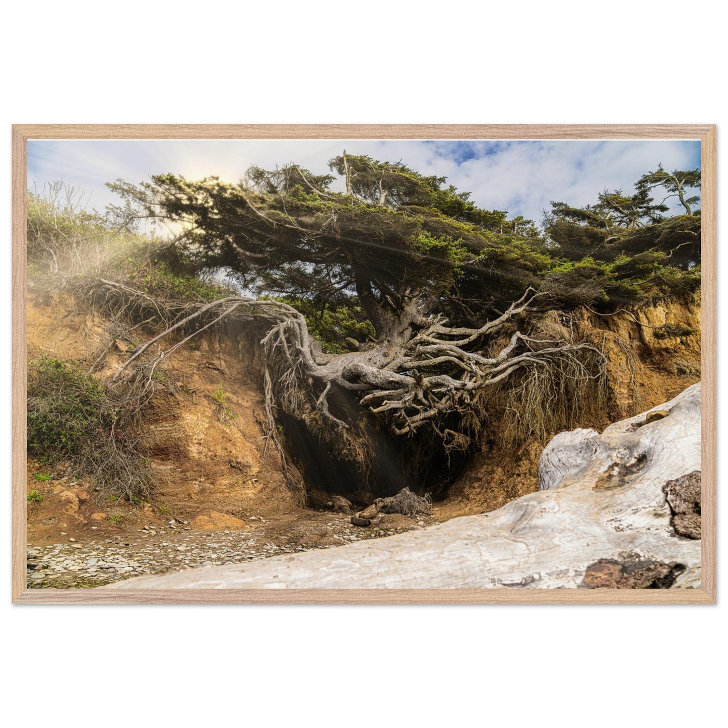 3d81c0eb-2dd3-4bff-b53c-b5fba97a3d11