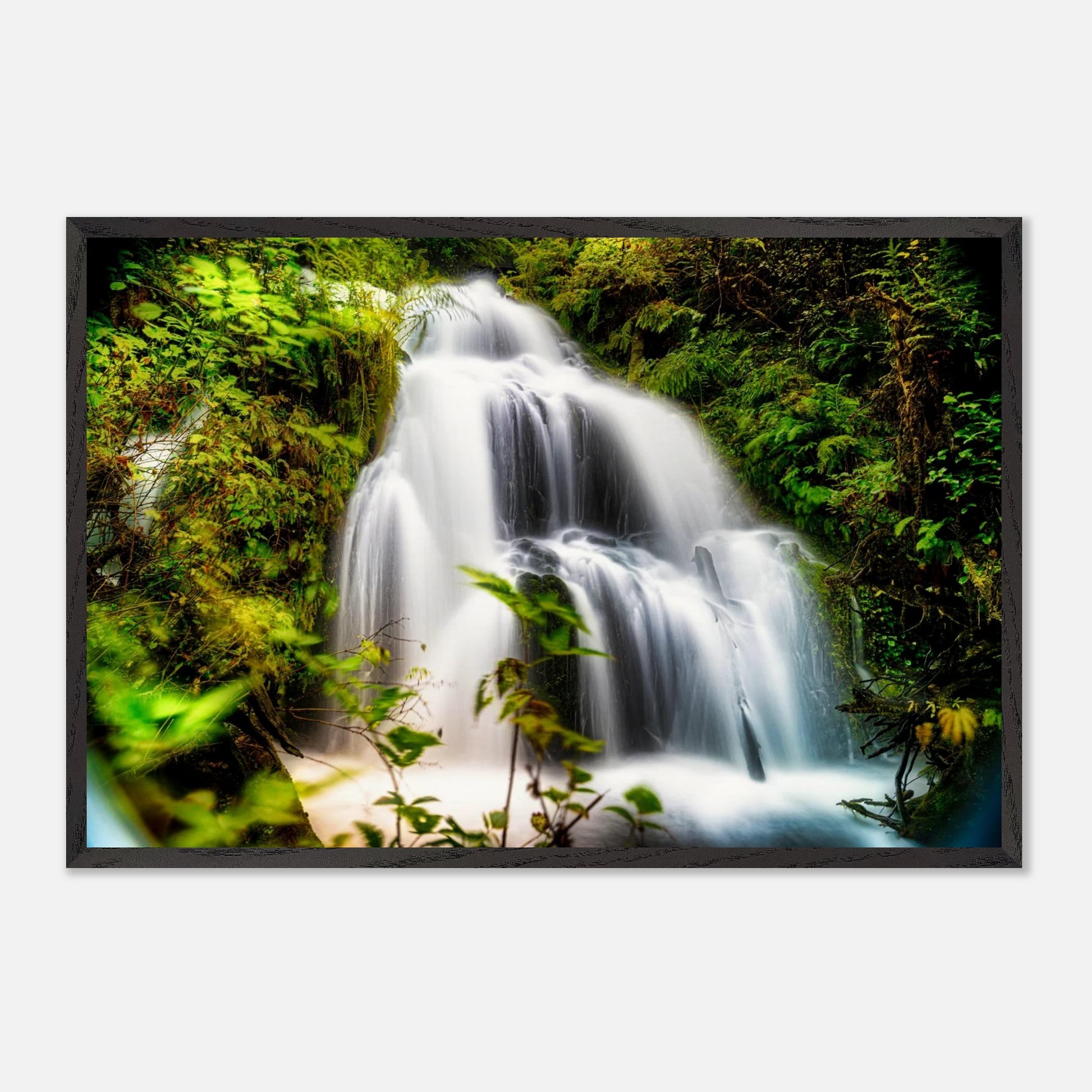 4d6c77a4-9a30-4932-b812-c8039943609d