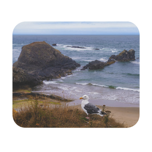 Seagull's Watch     Oregon USA