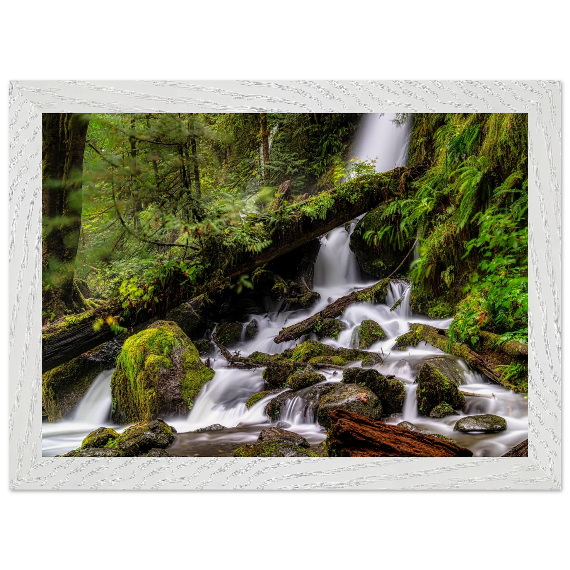 5481494e-db0d-4274-bee0-7352ba744128