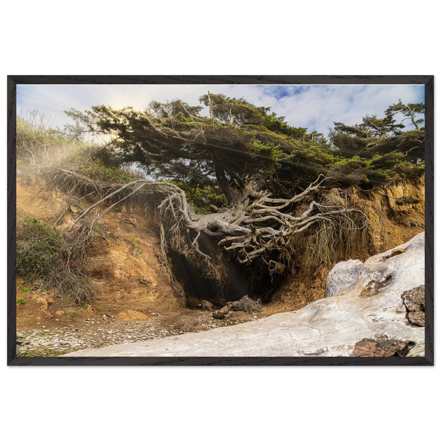 72d0469c-a2d3-4115-8b8a-2aab36670d44