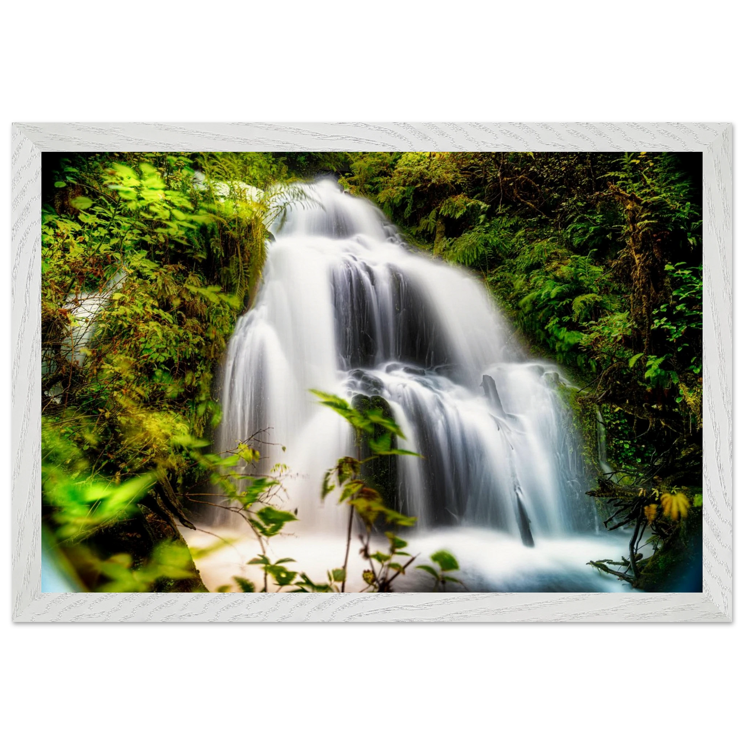 7a5979f0-d937-41da-8f54-f95f8c9cf829