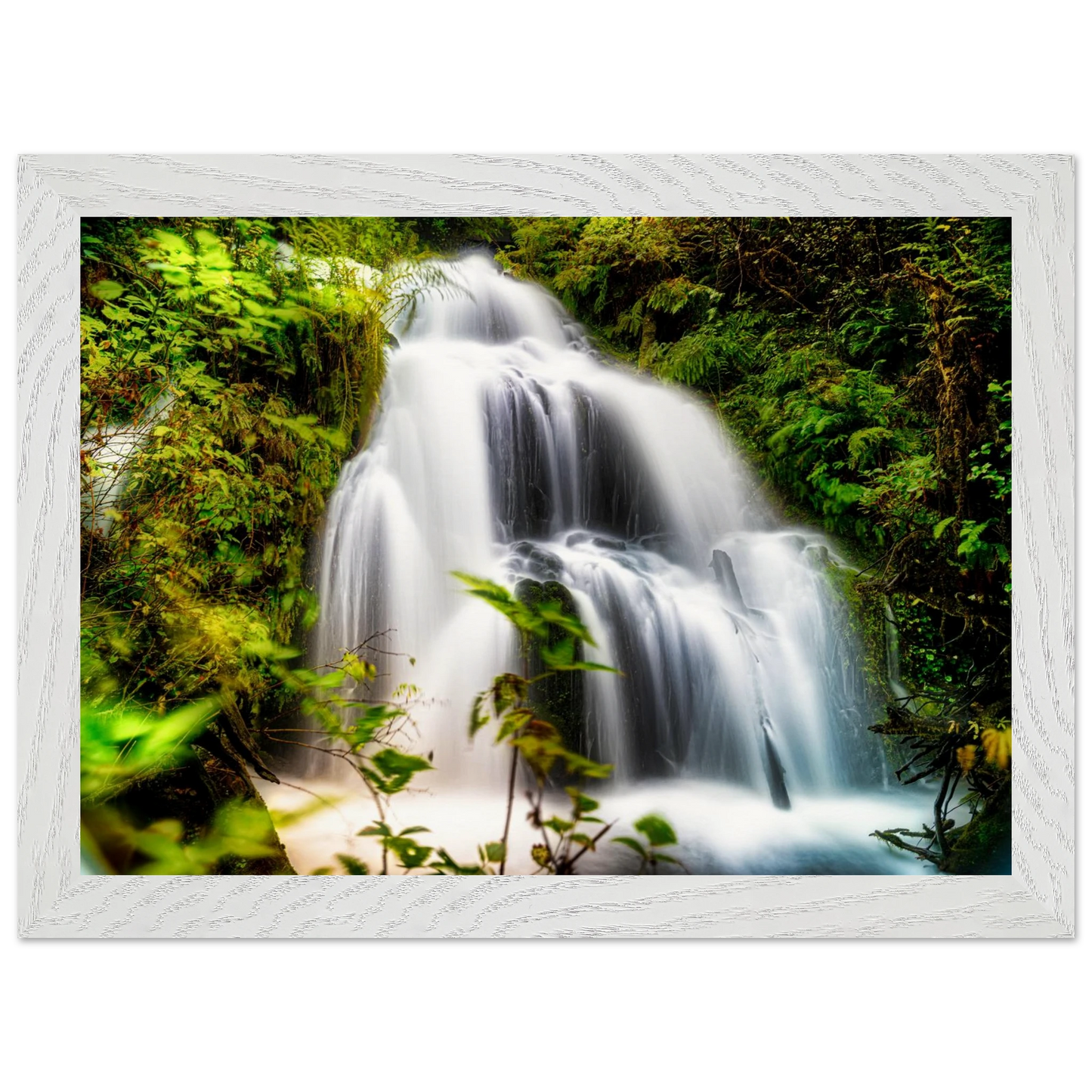 8894f369-69ae-42e5-ac4d-7c201668853f