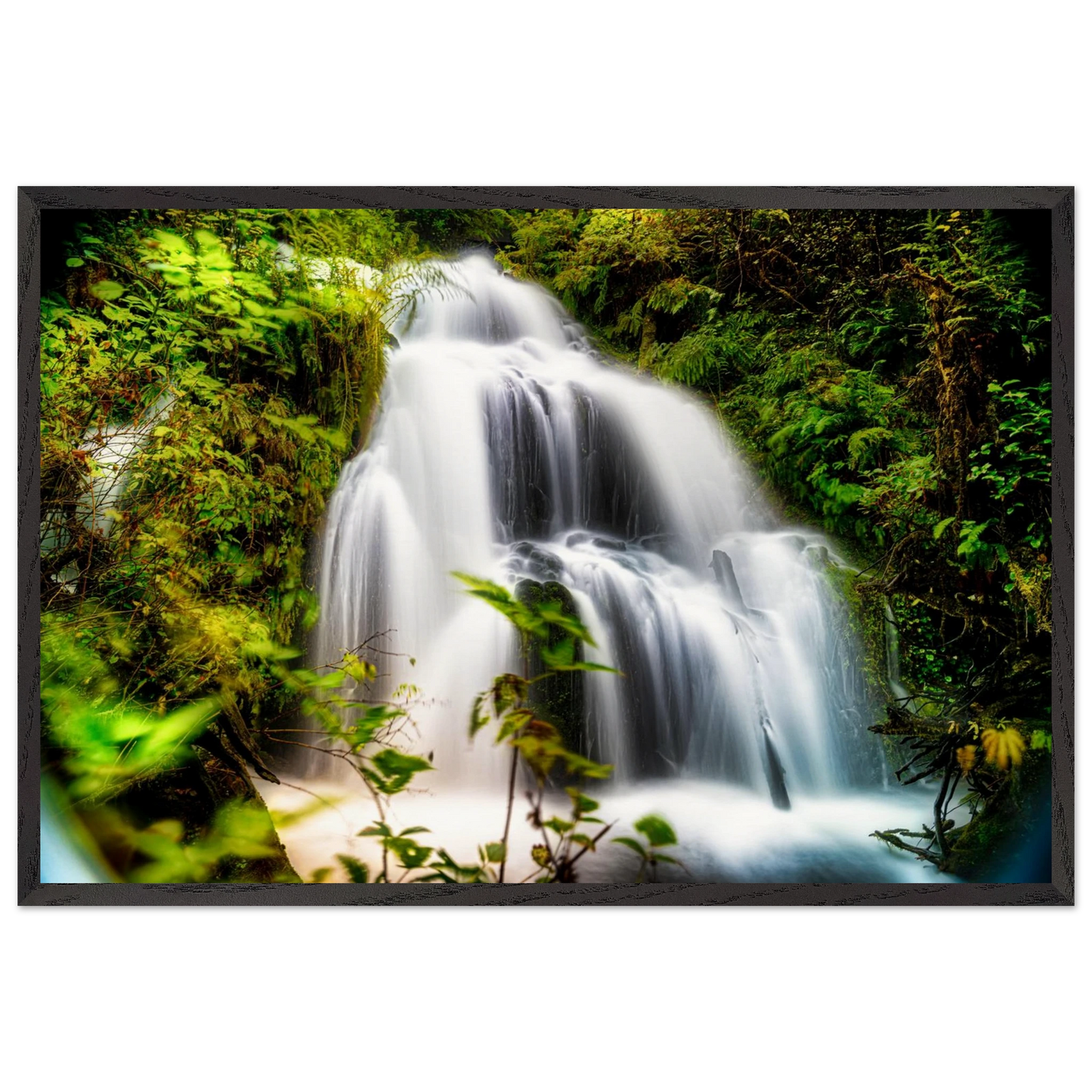 8f567874-30fd-47d3-84fc-181049a6931e