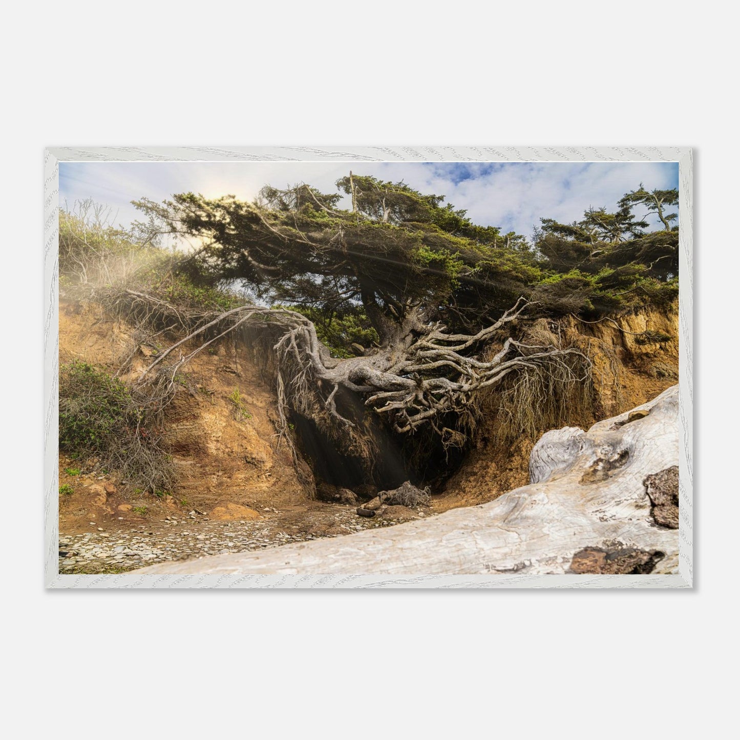 913c14fa-cbc2-41ab-b6c7-e017da43d837