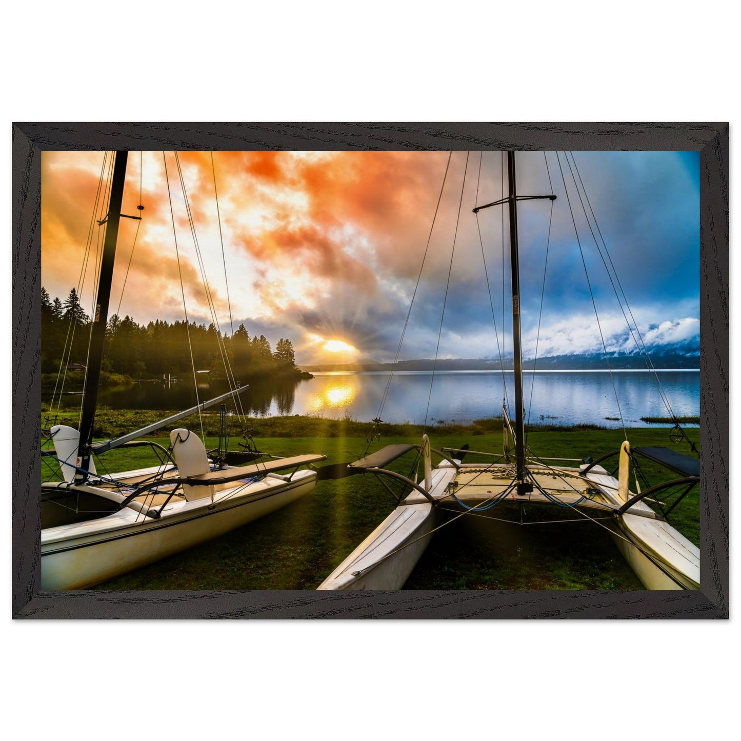 a48fd284-8e92-4fb6-8584-ab83038348d3