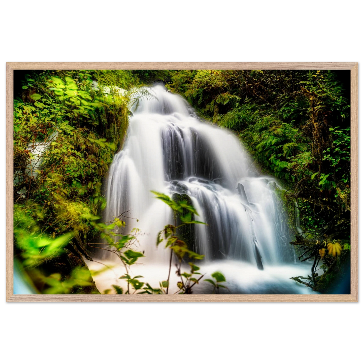 a8d1e229-f1ba-44f5-9ba5-2eb19d7d7a37