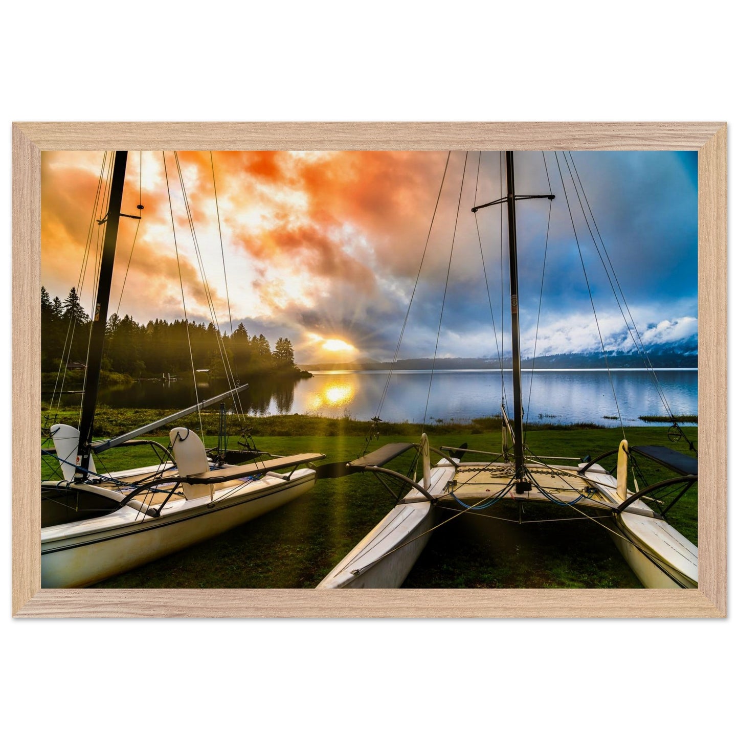 bc554b6a-6000-48e1-b255-434be2808832