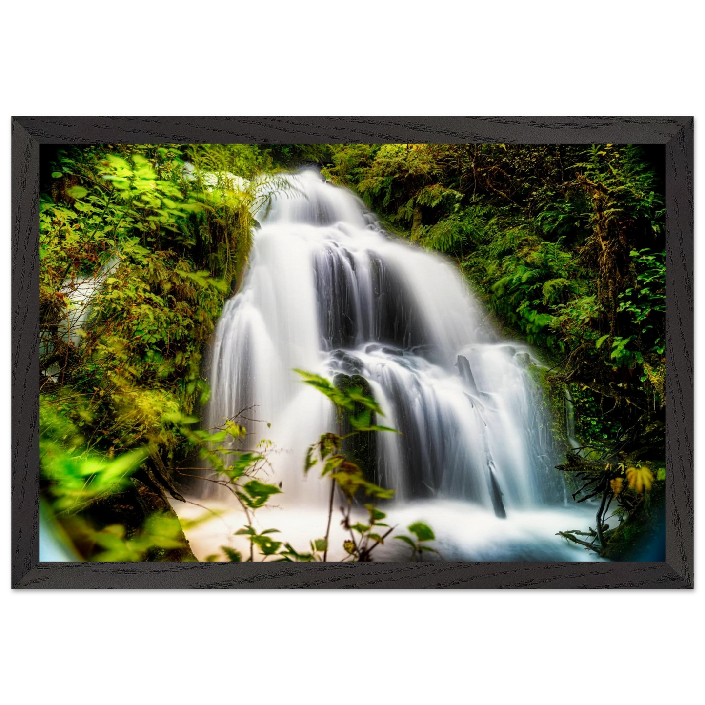 cb8d4a9f-8414-45ff-913e-2044176c888a