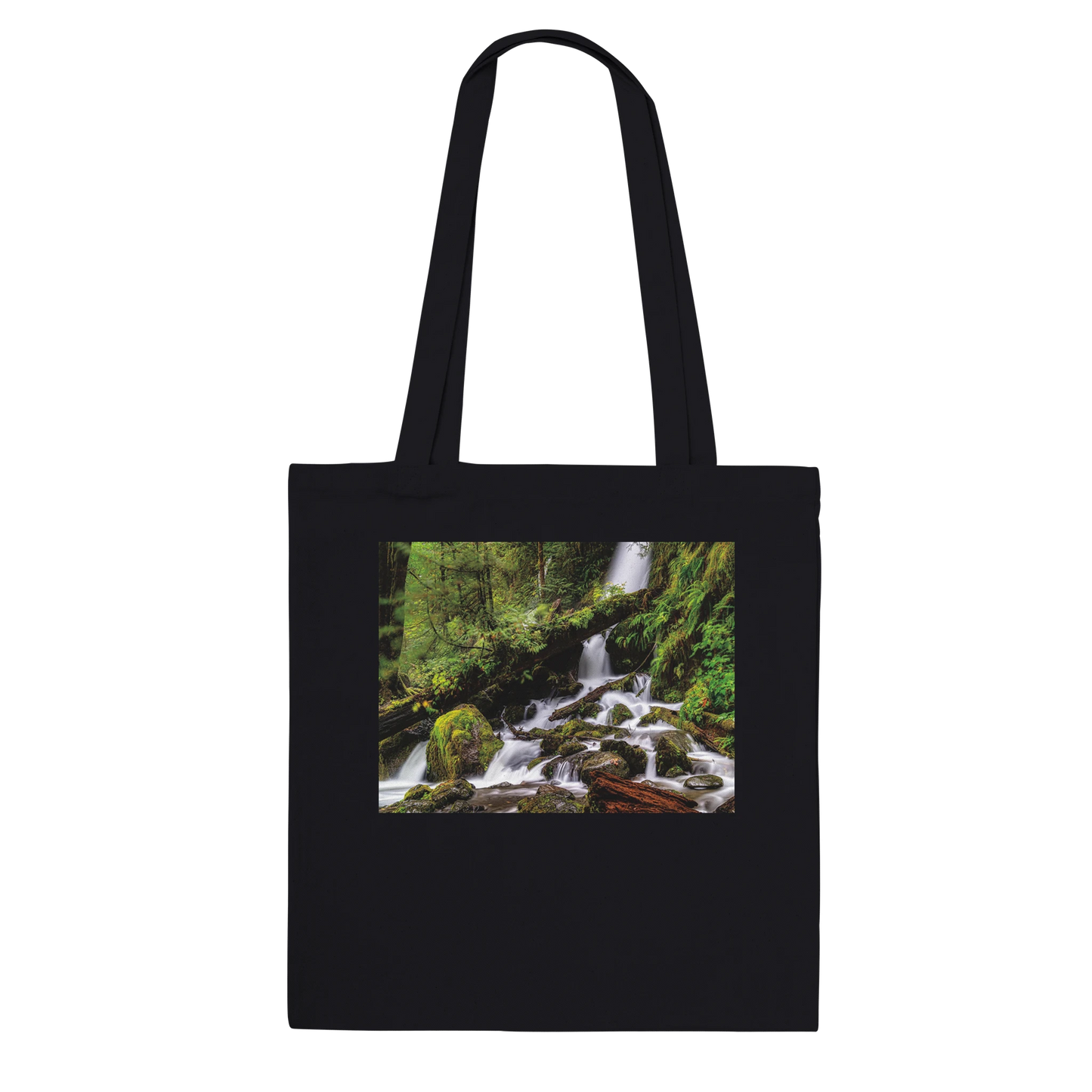 cee199c2-c75d-43d5-87ab-89cf66aa8050