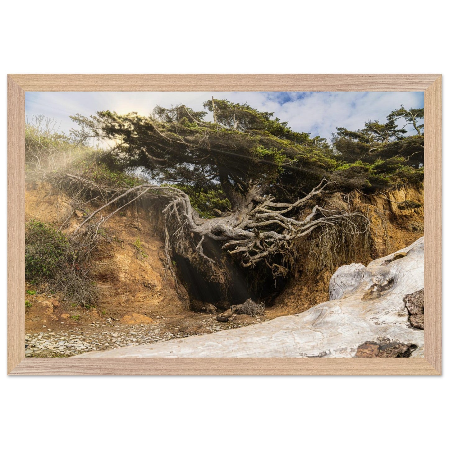 ec7f0129-5a18-43a8-b1ef-780b58e7e56f