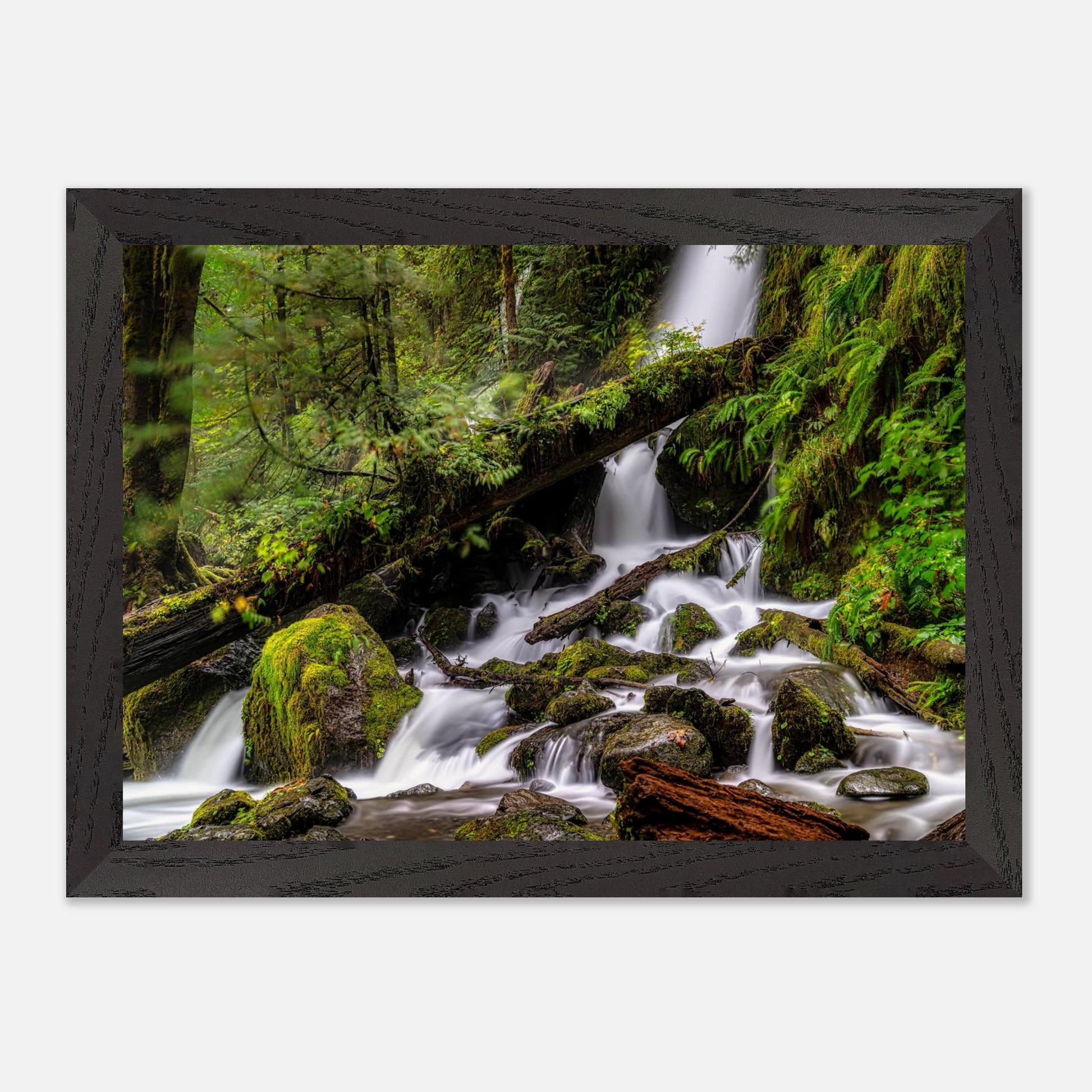 f9488c79-0bb1-4041-98ac-2b51836a31f1